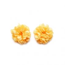 peach carnations